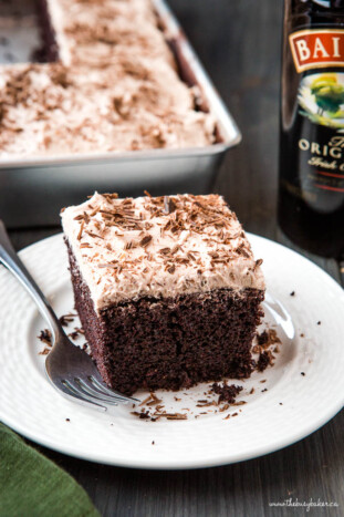 Baileys Chocolate Cake With Irish Cream Frosting The Busy Baker