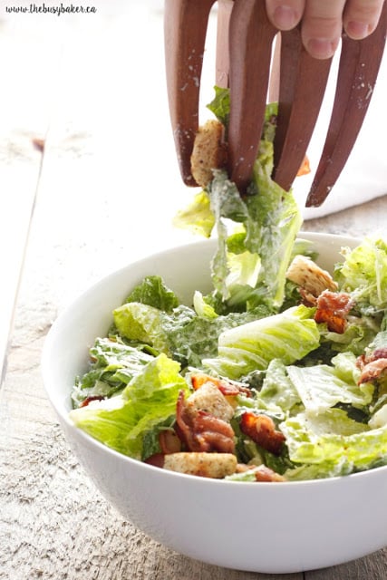 This Greek Yogurt Caesar Salad is a healthy and low fat alternative to traditional Caesar salad! It's ultra creamy and delicious and it's so easy to make! Recipe from thebusybaker.ca!
