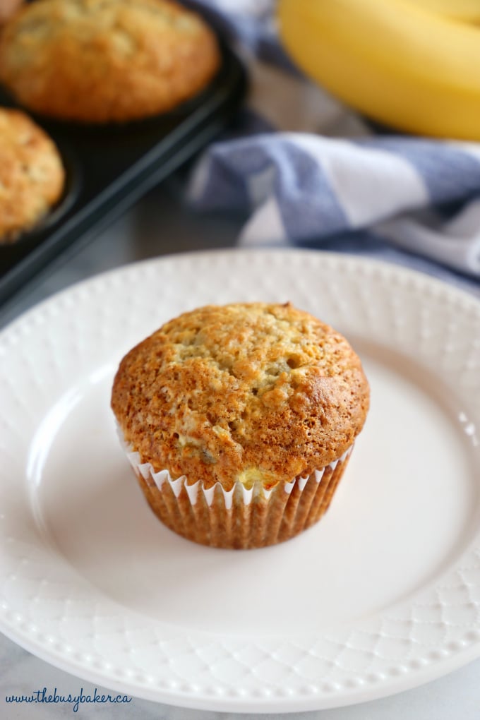 These Best Ever Banana Muffins are the best banana muffins you'll ever try - crispy on the outside and fluffy on the inside! And so easy to make in only one bowl! Ready in minutes! Recipe from thebusybaker.ca! #besteverbananamuffins #bestbananamuffins #bananamuffins #easymuffinrecipe