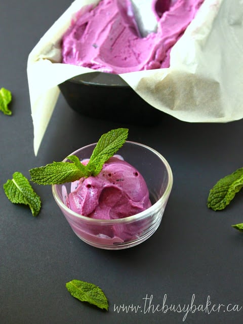 dish of blackberry mint homemade frozen yogurt garnished with fresh mint