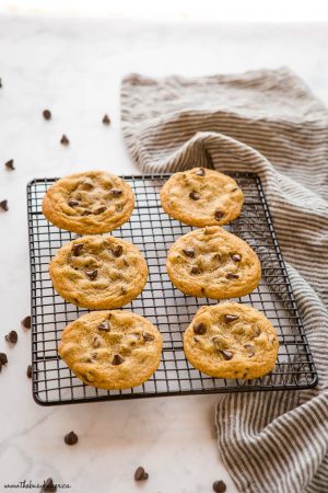 Best Ever Chewy Chocolate Chip Cookies - The Busy Baker