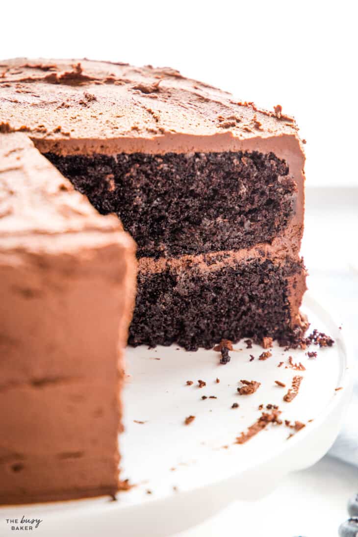 Chocolate Layer Cake with Chocolate Frosting - The Busy Baker