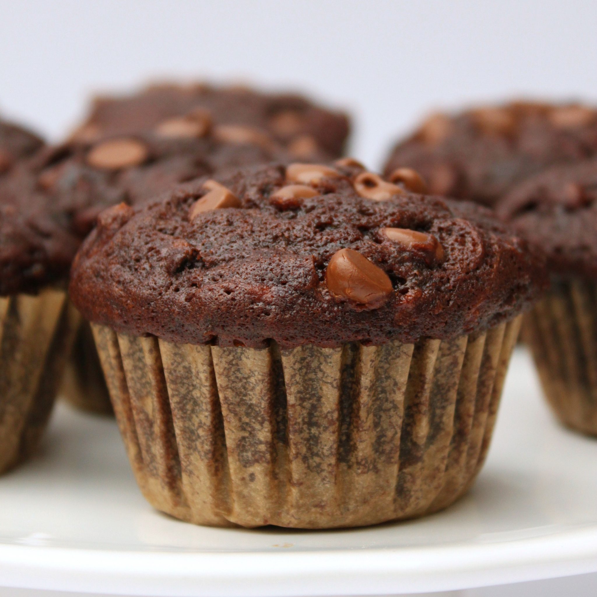 Double Chocolate Zucchini Muffins - The Busy Baker