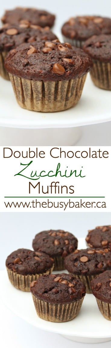 These healthier Double Chocolate Zucchini Muffins are packed with veggies! via @busybakerblog