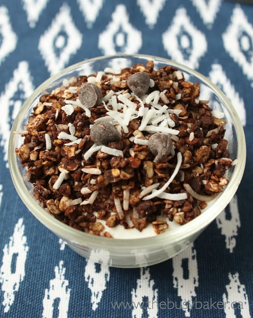 bowl of chocolate coconut homemade granola