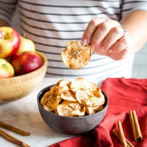 Homemade Apple Chips Recipes The Busy Baker