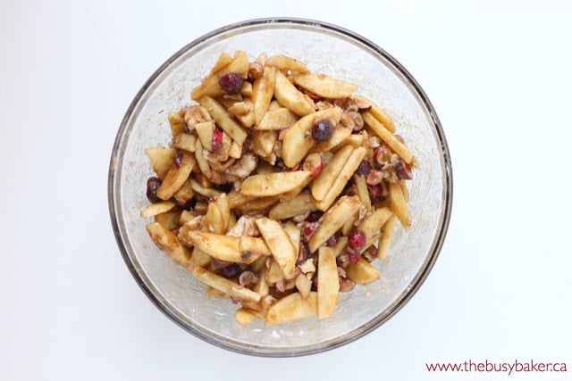 cranberry apple pie filling a bowl of homemade cranberry apple pie filling