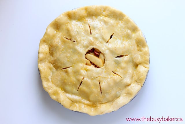 Cranberry Apple Pie overhead image of an unbaked cranberry apple pie