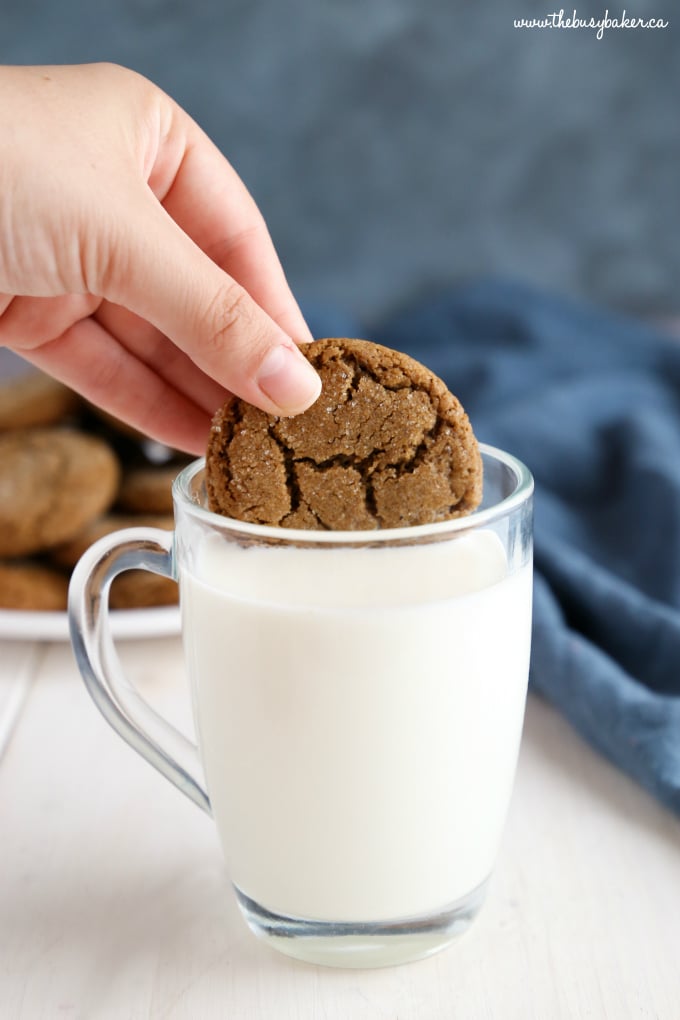 Best Ever Ginger Molasses Cookies dunk in milk