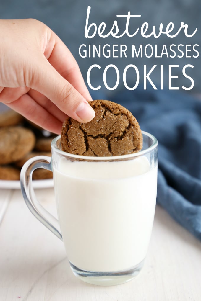 Best Ever Ginger Molasses Cookies