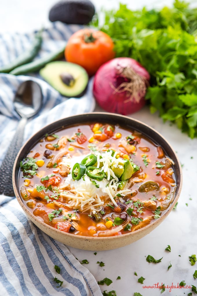 Mexican tortilla soup with onions, cheese, jalapenos 