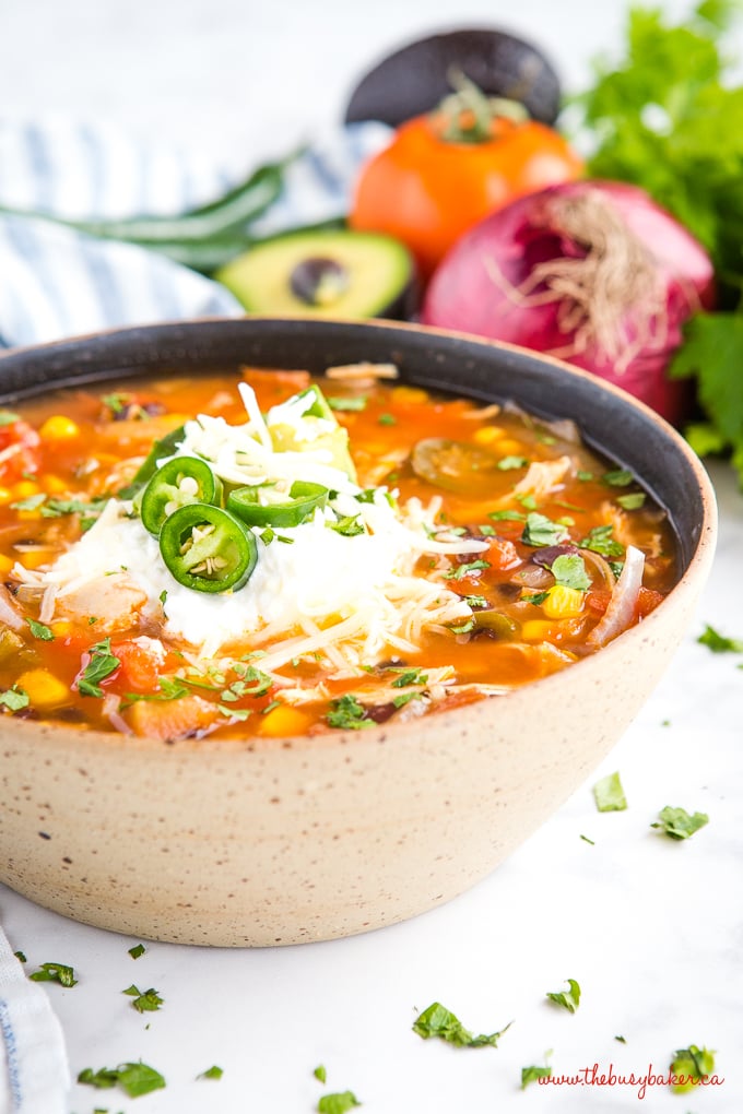 Mexican tortilla soup with tomatoes, avocados, jalapeno