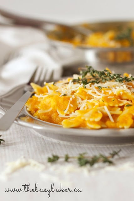 plate of farfalle pasta with meatless pasta sauce made from butternut squash