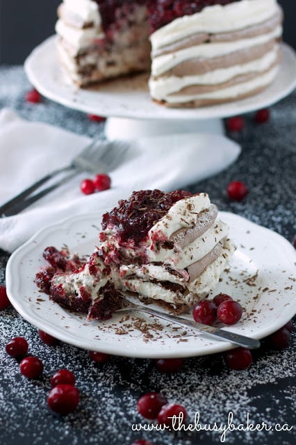 Chocolate Spice Meringue Pavlova Torte Recipe  The Busy Baker