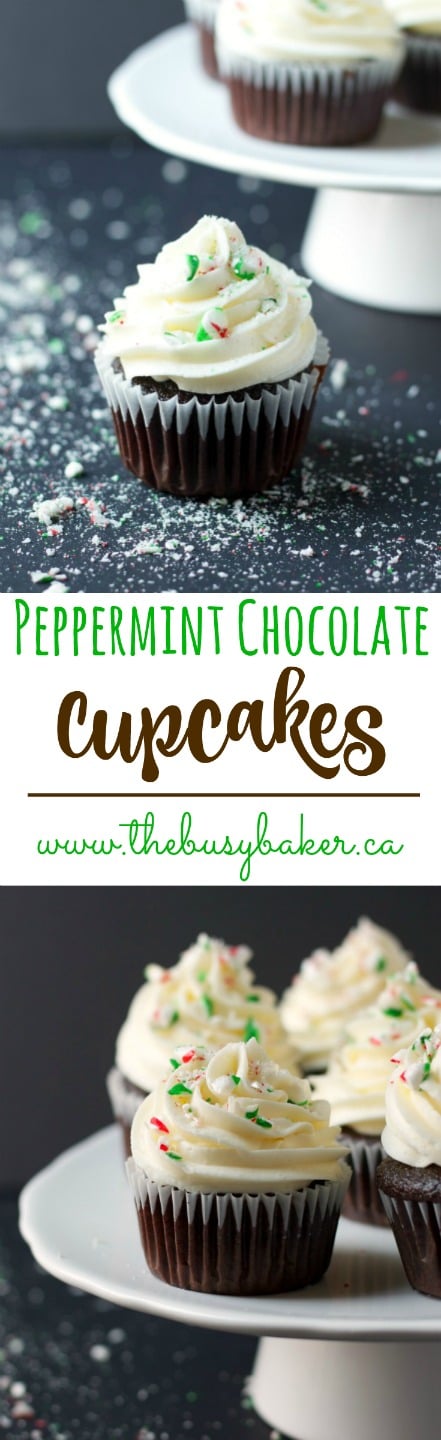 These Peppermint Chocolate Cupcakes are the perfect holiday treat! Recipe from thebusybaker.ca! via @busybakerblog