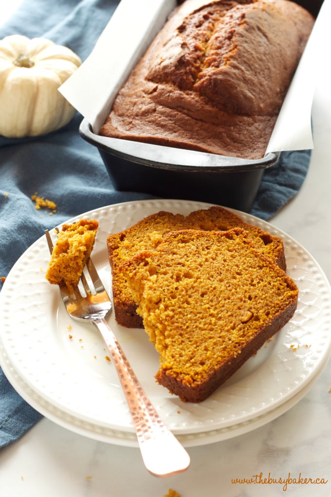 This Best Ever Pumpkin Spice Bread is moist and flavourful and packed with pumpkin and spices, and it's so easy to make in only one bowl! Recipe from thebusybaker.ca! #fallpumpkinrecipe #besteverpumpkinloaf #besteverpumpkinrecipe #easypumpkinrecipe
