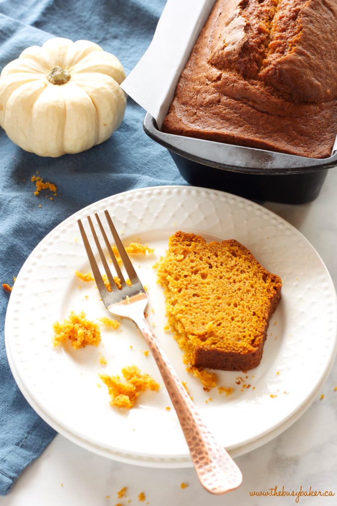 This Best Ever Pumpkin Spice Bread is moist and flavourful and packed with pumpkin and spices, and it's so easy to make in only one bowl! Recipe from thebusybaker.ca! #fallpumpkinrecipe #besteverpumpkinloaf #besteverpumpkinrecipe #easypumpkinrecipe