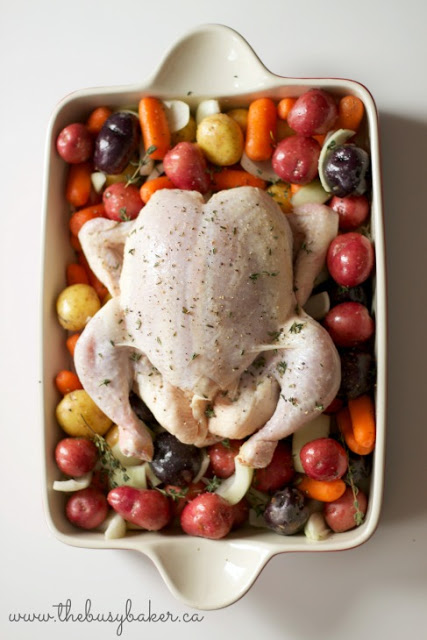 roasting pan with a whole uncooked chicken, potatoes and carrots