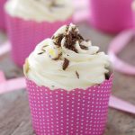 Chocolate Beet Cupcakes with Low Fat Cream Cheese Frosting