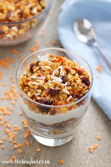 healthy granola recipe made with carrots, shredded coconut and red lentils