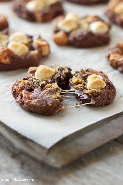 These Double Chocolate S'mores Cookies are sweet, chewy and full of melted chocolate and toasted marshmallows, like everybody's favorite campfire treat! www.thebusybaker.ca