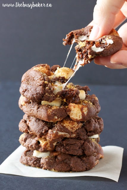 These Double Chocolate S'mores Cookies are sweet, chewy and full of melted chocolate and toasted marshmallows, like everybody's favorite campfire treat! www.thebusybaker.ca