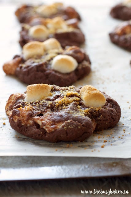 These Double Chocolate S'mores Cookies are sweet, chewy and full of melted chocolate and toasted marshmallows, like everybody's favorite campfire treat! www.thebusybaker.ca