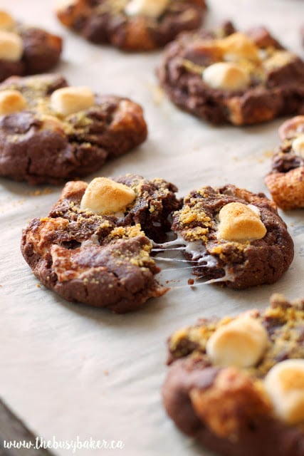 These Double Chocolate S'mores Cookies are sweet, chewy and full of melted chocolate and toasted marshmallows, like everybody's favorite campfire treat!www.thebusybaker.ca