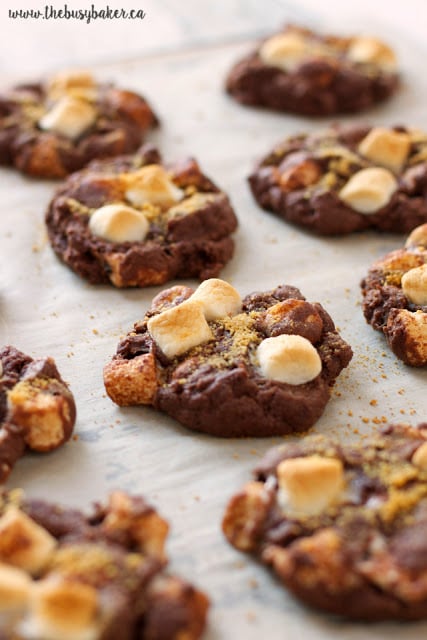 These Double Chocolate S'mores Cookies are sweet, chewy and full of melted chocolate and toasted marshmallows, like everybody's favorite campfire treat! www.thebusybaker.ca