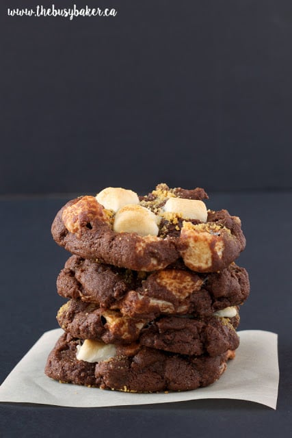 These Double Chocolate S'mores Cookies are sweet, chewy and full of melted chocolate and toasted marshmallows, like everybody's favorite campfire treat! www.thebusybaker.ca