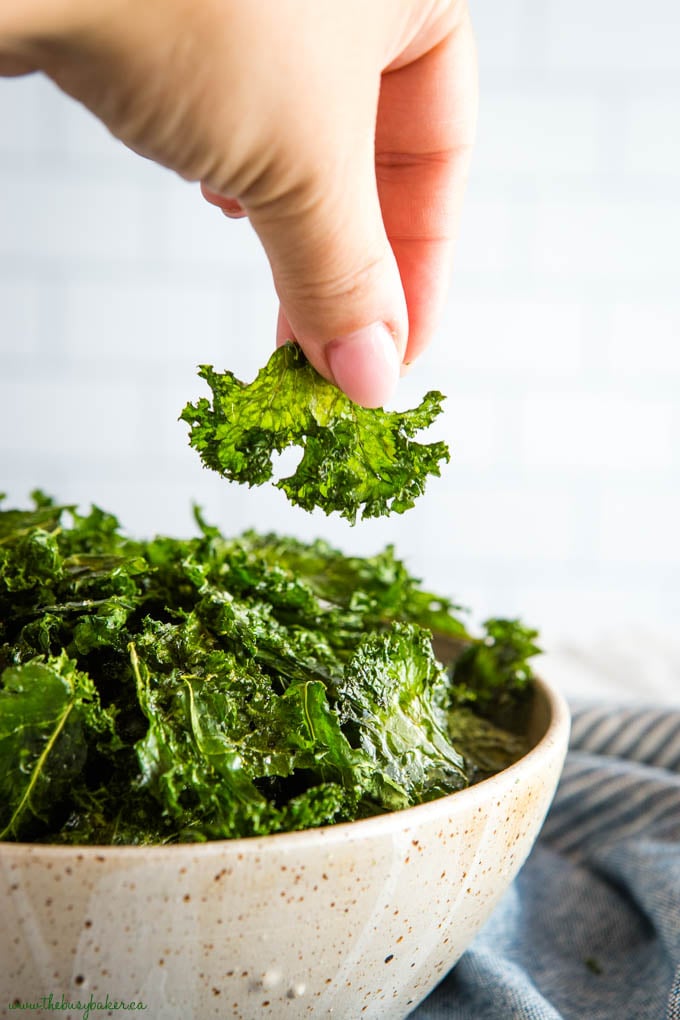 No fail, crispy kale chips every time! Sea Salt and Garlic Kale Chips recipe from thebusybaker.ca hand holding kale chip