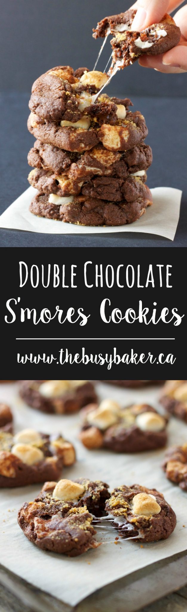 These Double Chocolate S'mores Cookies are sweet and chewy and bursting with melted chocolate and toasted marshmallows.Just everybody's favorite campfire treat! #DoubleChocolate #S'mores #Cookies #Campfire via @busybakerblog