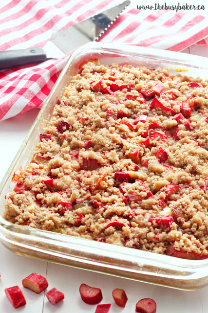 This Rhubarb Streusel Cake recipe is just like Grandma used to make! It's the perfect tender cake recipe with fresh rhubarb and a sweet and crispy streusel topping! Recipe from thebusybaker.ca! #rhubarbcake #streuselcake #sheetcake #rhubarbdessert