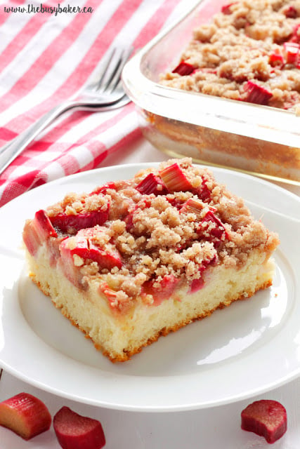 This Rhubarb Streusel Cake recipe is just like Grandma used to make! It's the perfect tender cake recipe with fresh rhubarb and a sweet and crispy streusel topping! Recipe from thebusybaker.ca! #rhubarbcake #streuselcake #sheetcake #rhubarbdessert