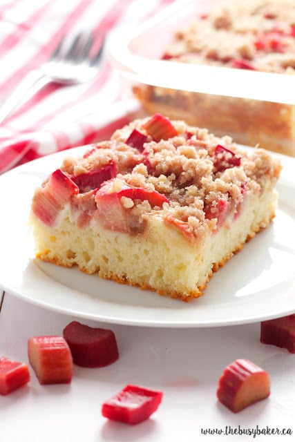 This Rhubarb Streusel Cake recipe is just like Grandma used to make! It's the perfect tender cake recipe with fresh rhubarb and a sweet and crispy streusel topping! Recipe from thebusybaker.ca! #rhubarbcake #streuselcake #sheetcake #rhubarbdessert