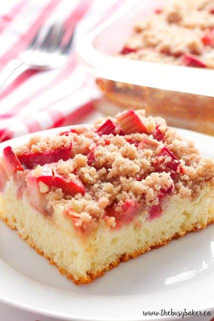 This Rhubarb Streusel Cake recipe is just like Grandma used to make! It's the perfect tender cake recipe with fresh rhubarb and a sweet and crispy streusel topping! Recipe from thebusybaker.ca! #rhubarbcake #streuselcake #sheetcake #rhubarbdessert