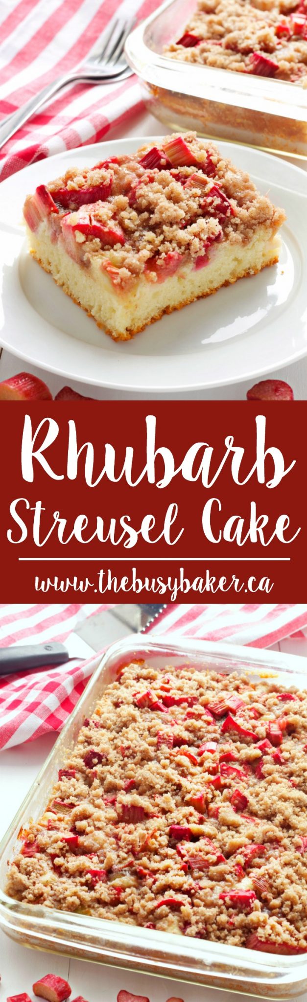 This Rhubarb Streusel Cake recipe is an old fashioned, tender cake made with fresh rhubarb and a sweet & crispy streusel topping! Recipe from thebusybaker.ca! #rhubarbcake #streuselcake #sheetcake #rhubarbdessert via @busybakerblog