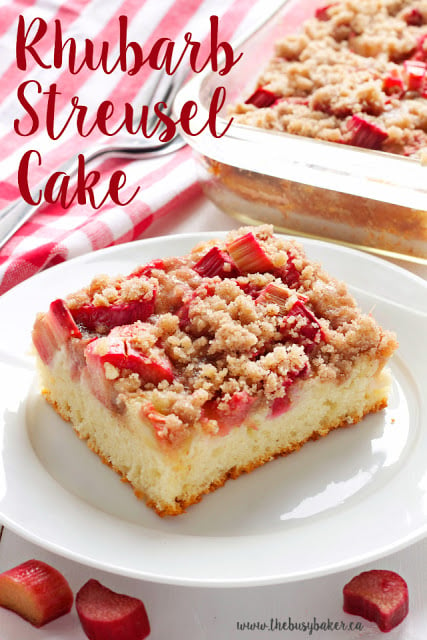 This Rhubarb Streusel Cake recipe is just like Grandma used to make! It's the perfect tender cake recipe with fresh rhubarb and a sweet and crispy streusel topping! Recipe from thebusybaker.ca! #rhubarbcake #streuselcake #sheetcake #rhubarbdessert