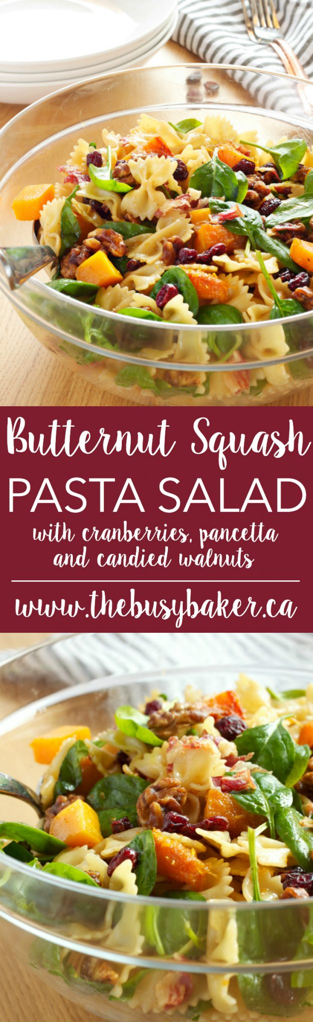 This Butternut Squash Pasta Salad is a delicious holiday side dish for fall and winter made with Cranberries, Pancetta, and Candied Walnuts! Recipe from thebusybaker.ca! via @busybakerblog