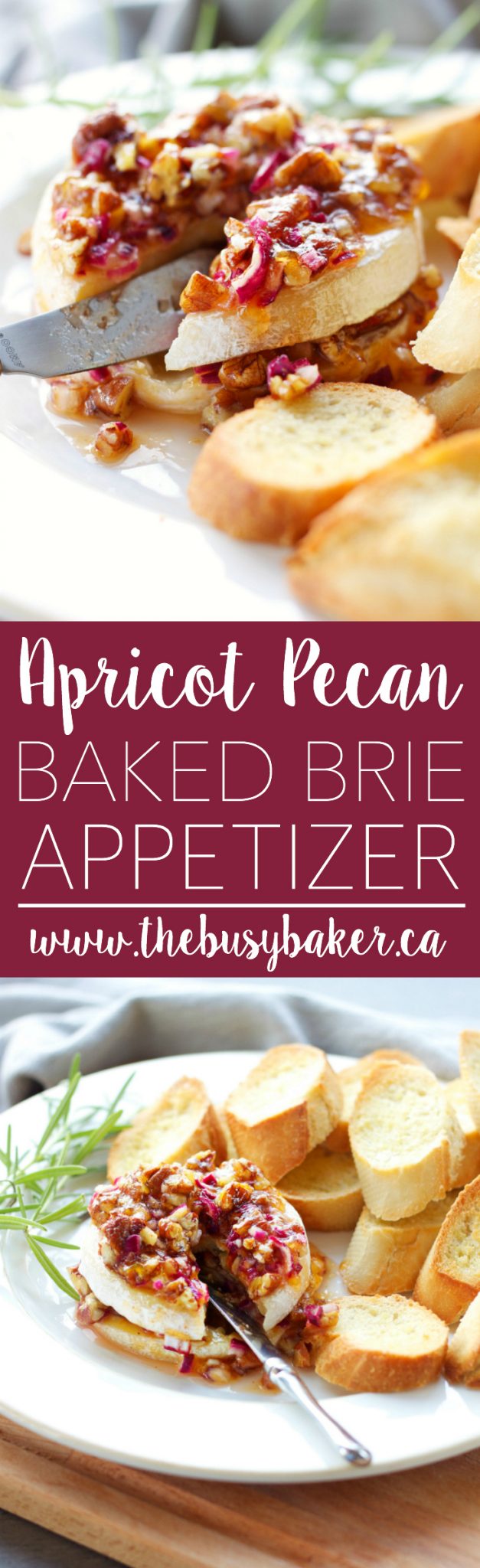 This 4-ingredient Apricot Pecan Baked Brie Appetizer is easy to make and it's perfect for holiday parties because it's so rich-tasting and decadent! Recipe from thebusybaker.ca! via @busybakerblog