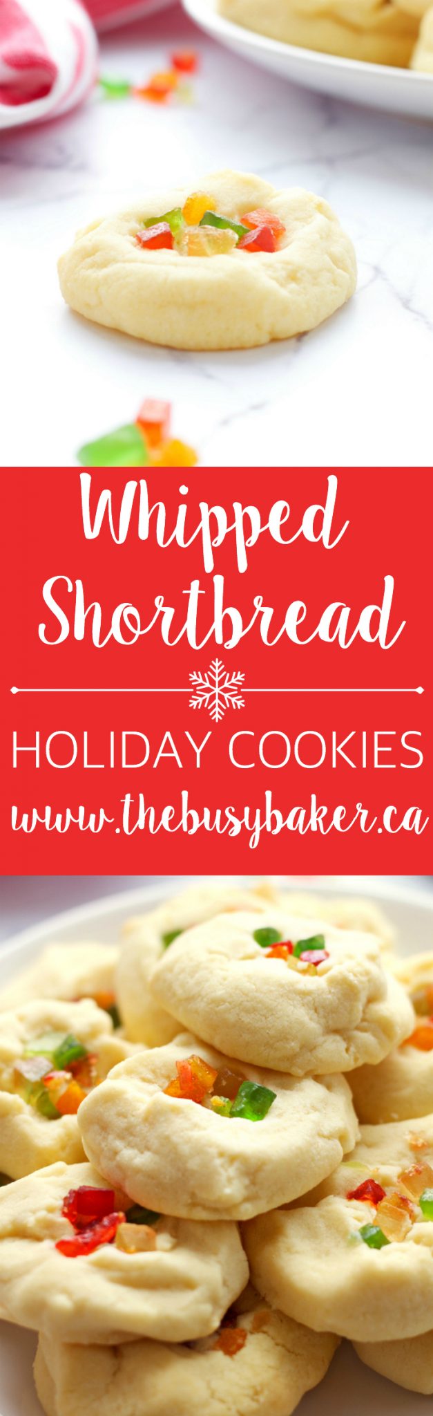 These Whipped Shortbread Holiday Cookies are the perfect Christmas shortbread cookie! They're easy to make and turn out perfectly every time! Recipe from thebusybaker.ca! via @busybakerblog