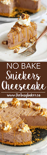 This No Bake Snickers Cheesecake is the perfect easy to make decadent dessert! Recipe from www.thebusybaker.ca