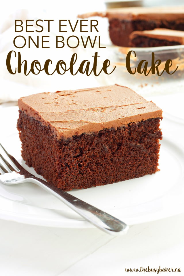 This Best Ever One Bowl Chocolate Cake is a must-have recipe! from www.thebusybaker.ca