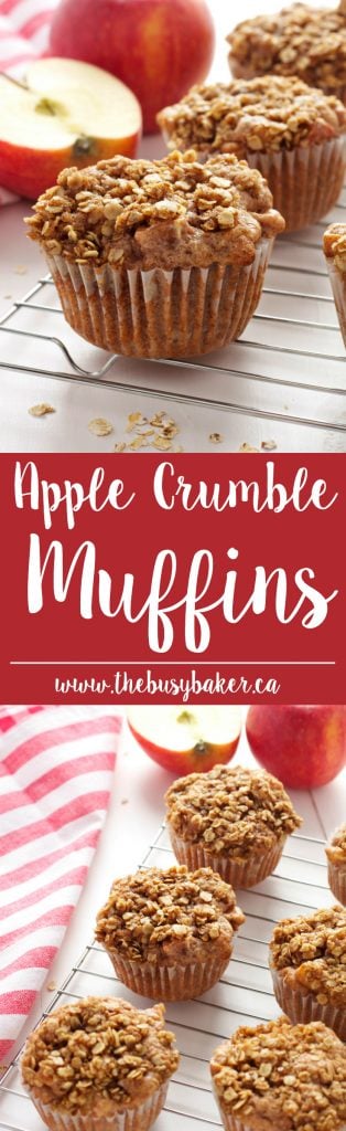 These Apple Crumble Muffins are the perfect easy muffin recipe for apple lovers! They taste just like Grandma's apple crumble! Recipe from thebusybaker.ca!