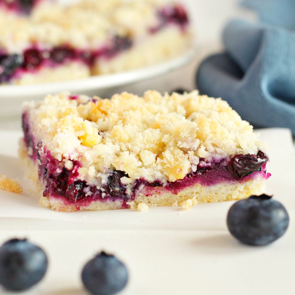 Best Ever Blueberry Crumb Bars - The Busy Baker