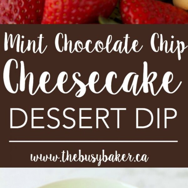 Mint Chocolate Chip Cheesecake Dessert Dip - The Busy Baker