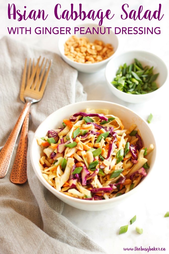 This Asian Cabbage Salad with Ginger Peanut Dressing is a healthy, easy to make Thai inspired side dish made from simple, wholesome ingredients! Recipe from thebusybaker.ca!