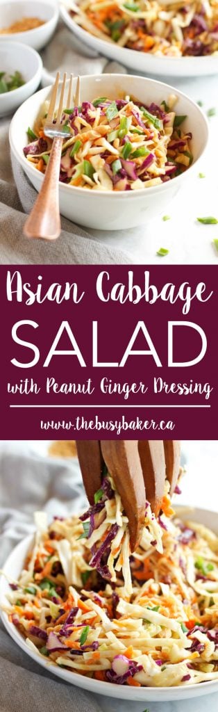 This Asian Cabbage Salad with Ginger Peanut Dressing is a healthy, easy to make Thai inspired side dish made from simple, wholesome ingredients! Recipe from thebusybaker.ca!