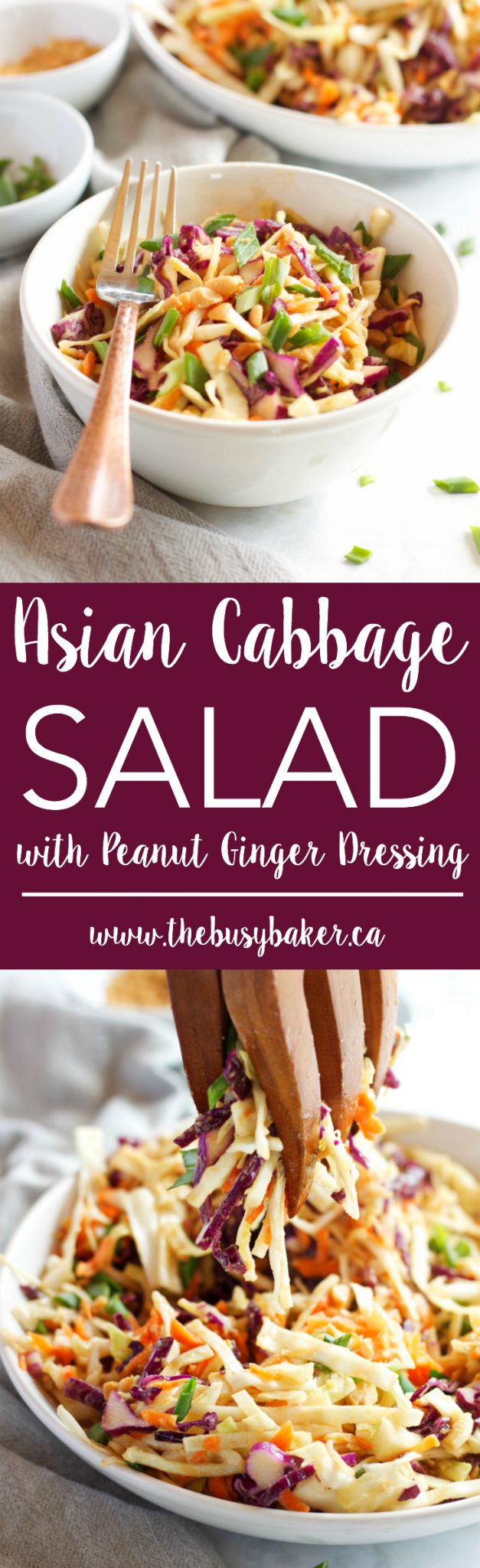 This Asian Cabbage Salad with Ginger Peanut Dressing is a healthy, easy to make Thai inspired side dish made from simple, wholesome ingredients! Recipe from thebusybaker.ca! via @busybakerblog