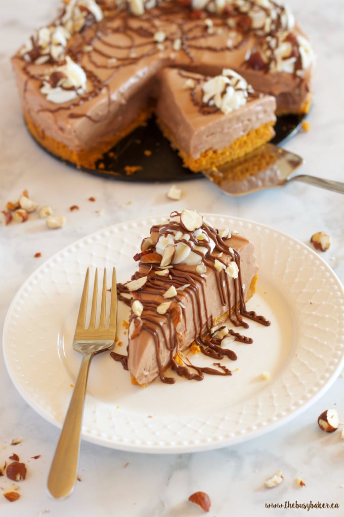 This Easy No Bake Nutella Cheesecake is the perfect easy dessert recipe for Nutella lovers! Recipe from thebusybaker.ca!